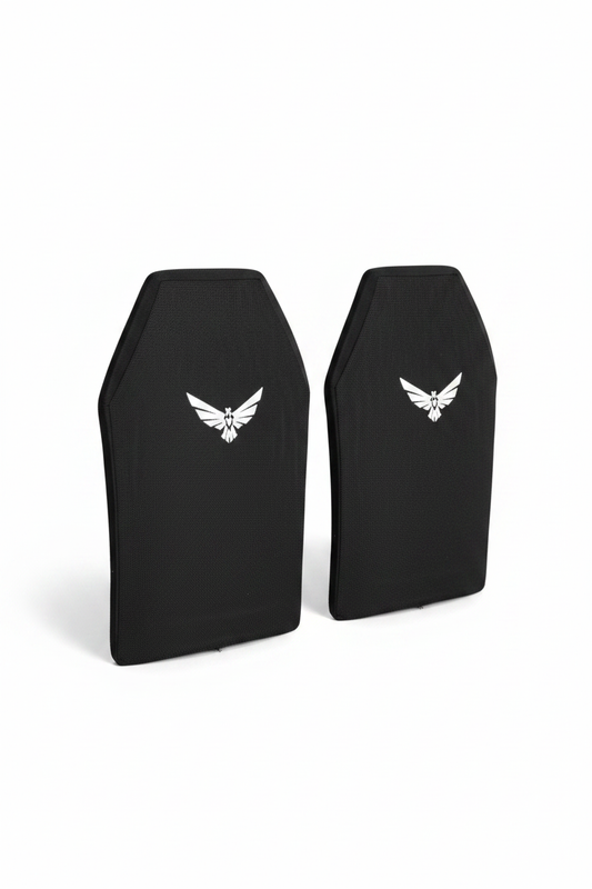 Two GARMS Plates Side by Side - Correct Proportions